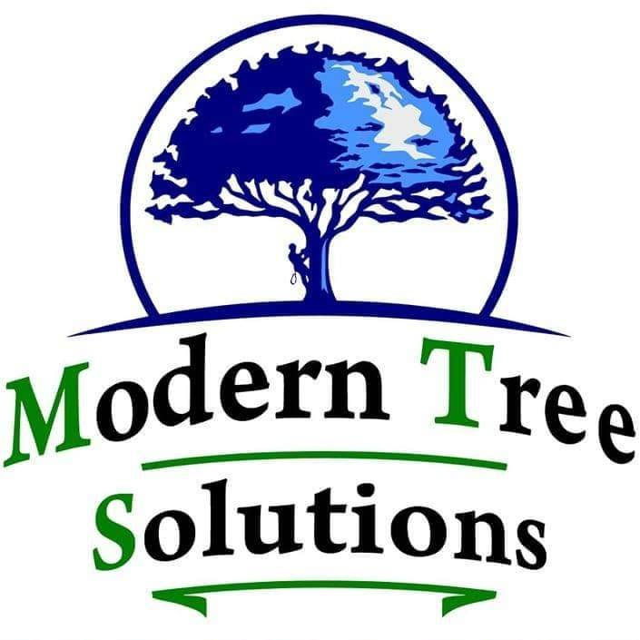 Modern Tree Solutions logo